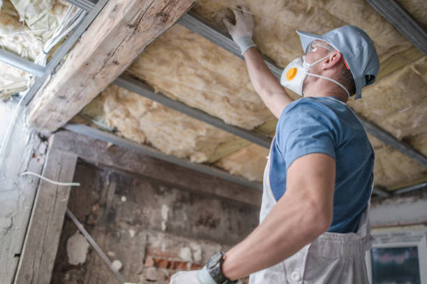 Best Energy Efficiency Solutions in Sugar Grove, IL